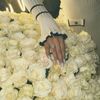 _el7a