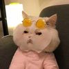yoongisleftflipflop