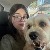 luisabrazi