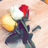 lifesmail702