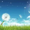 user276090651