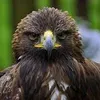 abdulh_jane
