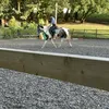 olly_georgia
