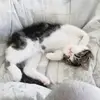 aurixmyvida6