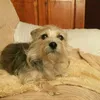 stephengriffith63