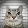 agent_00777777777
