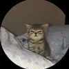 xinhgainhungm4