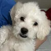 m_affiliate24