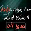 user83025133