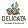 delicata.rs