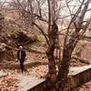 mutaz47