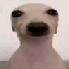 pelao_royale13