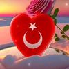 resul_bingol34