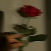 stella_sm1l