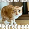 ul1anka14