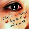 user79141979