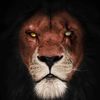 mo_elmesery