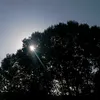nikospaho1