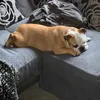 matildathebully