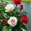 user58551473