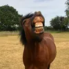 vickirudd0