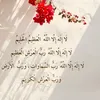 shehla17163