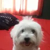 roxanadanielariva5
