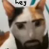 tharando_human