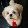 bubushtz