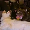 beautifulpack
