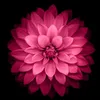 user07851605
