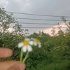 youtam5
