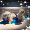 molly.mae2024