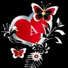 amirrasheed7860