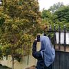 adcndf