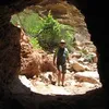 bobbybaboon