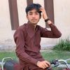 shaaf482