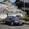 jdm0nelove