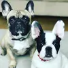 peppermintthefrenchies