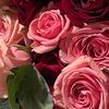 omali.saad4