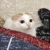 thww__4