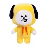 bts_luv_chimmy