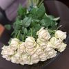 lusi.112
