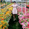 truc_thanh092