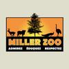 Miller zoo