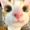 dpth_