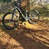 stewarty77