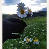 user86200417