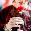 dy8auwsh98sq