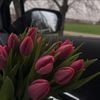 lujain_080